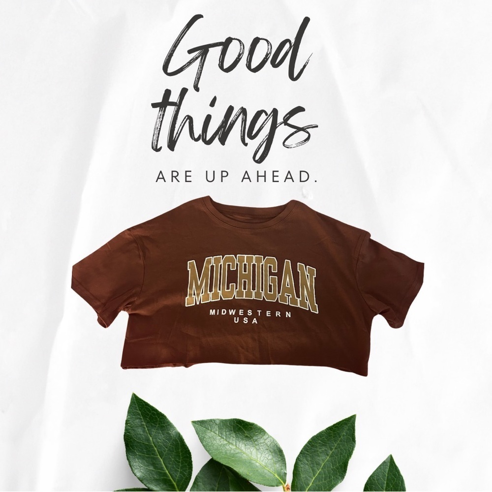Michigan cropped tshirt